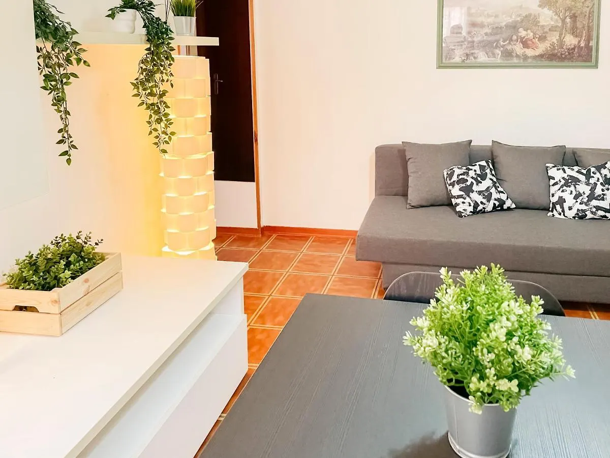 Ospedale Cisanello Bonsai House Apartment Pisa Italy