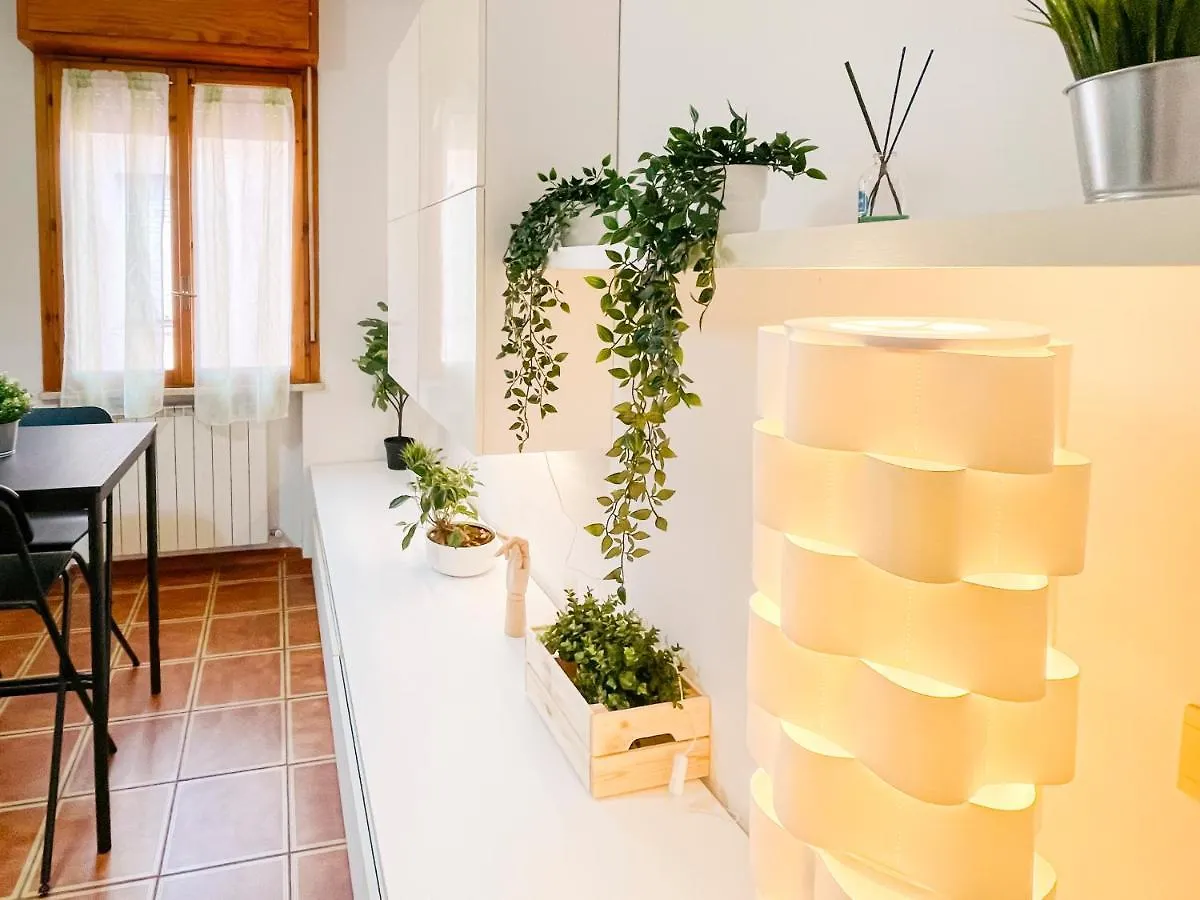 Ospedale Cisanello Bonsai House Apartment Pisa